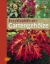 Buchcover und Innenansicht für das Buch: Enzyklopädie der Gartengehölze