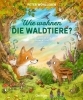 Buchcover und Innenansicht für das Buch: Wie wohnen die Waldtiere?