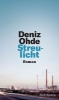 Buchcover und Innenansicht für das Buch: Streulicht