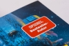 Buchcover und Innenansicht für das Buch: Behemoth
