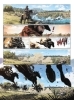 Buchcover und Innenansicht für das Buch: Catamount. Band 4