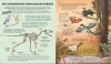 Buchcover und Innenansicht für das Buch: Everything you know about dinosaurs is wrong