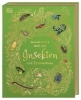 Buchcover und Innenansicht für das Buch: Wundervolle Welt der Insekten und Spinnentiere