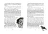 Buchcover und Innenansicht für das Buch: Drachenreiter 3. Der Fluch der Aurelia