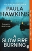 Buchcover und Innenansicht für das Buch: Slow Fire Burning