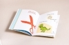Buchcover und Innenansicht für das Buch: Mein kunterbuntes Ausschneidebuch - Dinosaurier. Schneiden, kleben, malen für Kinder ab 3 Jahren. Mit Scherenführerschein