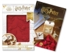 Buchcover und Innenansicht für das Buch: Harry Potter: Make your own Chocolate Owls