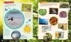 Buchcover und Innenansicht für das Buch: WAS IST WAS Rätseln und Stickern: Natur