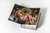 Buchcover und Innenansicht für das Buch: The Ballad of Never After