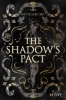 Buchcover und Innenansicht für das Buch: Daughters of the Fallen Gods 1: The Shadow's Pact