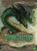 Buchcover und Innenansicht für das Buch: The Storm Dragons Saga 02