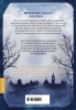 Buchcover und Innenansicht für das Buch: The Glass of Lead and Gold