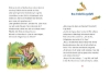 Buchcover und Innenansicht für das Buch: Frida und Filu - Die unsichtbaren Detektive - Der verflixte Flohmarkt-Fall