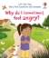 Buchcover und Innenansicht für das Buch: Very First Questions and Answers: Why do I (sometimes) feel angry?