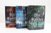 Buchcover und Innenansicht für das Buch: A Time of Blood (Of Blood and Bone 2)
