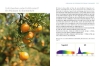 Buchcover und Innenansicht für das Buch: Lichtbaden