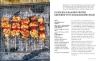 Buchcover und Innenansicht für das Buch: Backyard BBQ